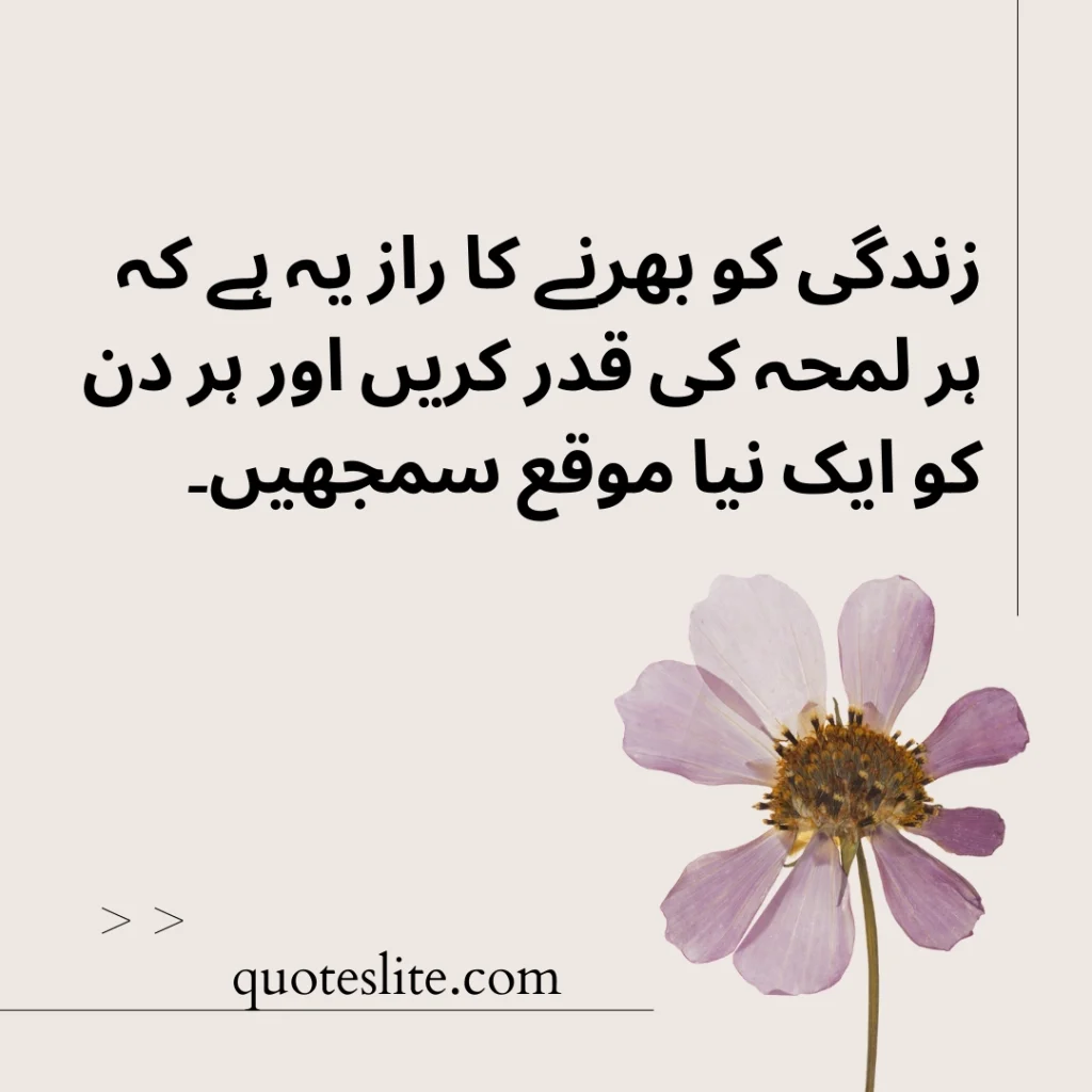 Urdu Quotes About Life